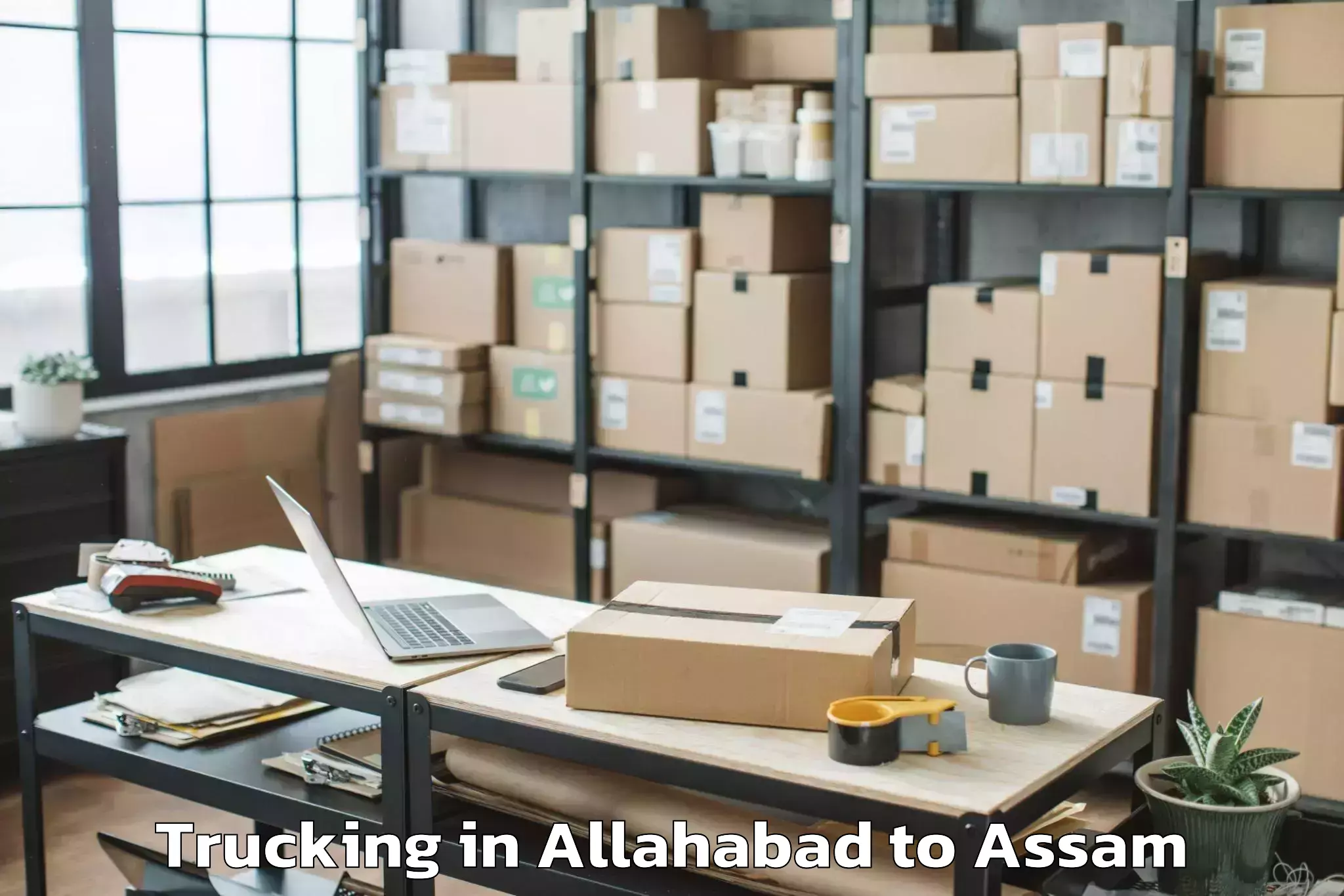 Top Allahabad to Bijni Pt Trucking Available